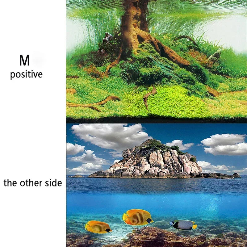 Fond d'Aquarium Autocollant 3D Monde Sous-Marin-19-Petmonde