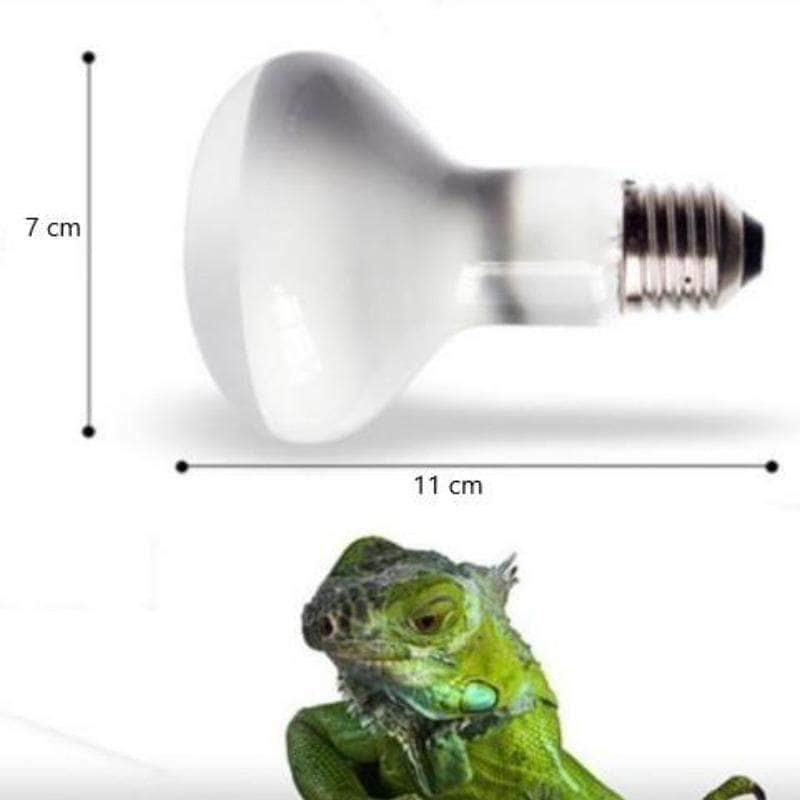 Ampoule chauffante UVA UVB pour tortue et reptile lampe UVA UVB à lumi