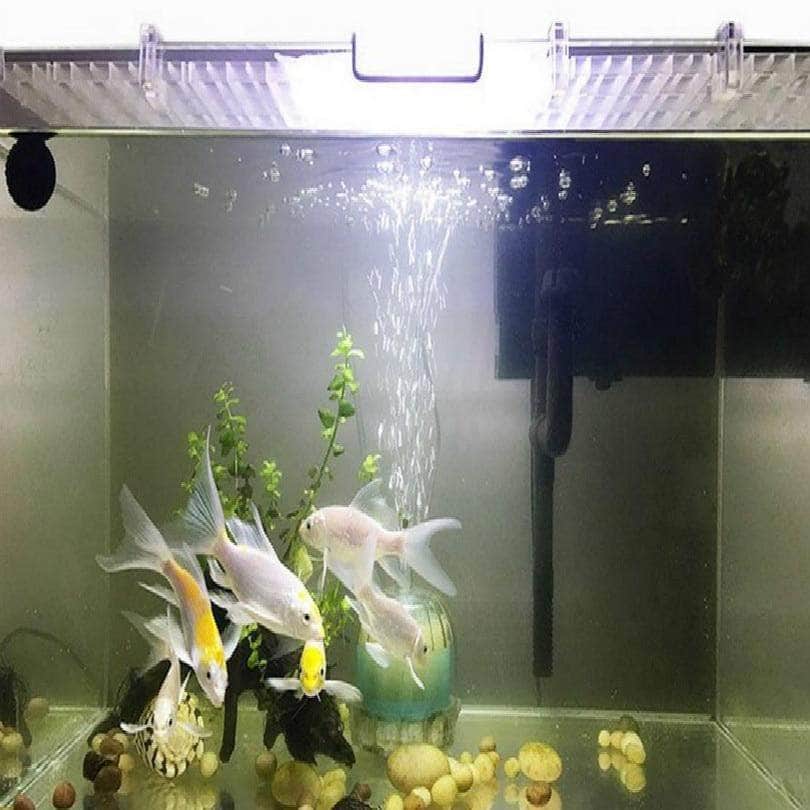 Couvercle perforé grille séparateur pour aquarium adaptable toute taille ou supports accrochables au choix-2-Petmonde