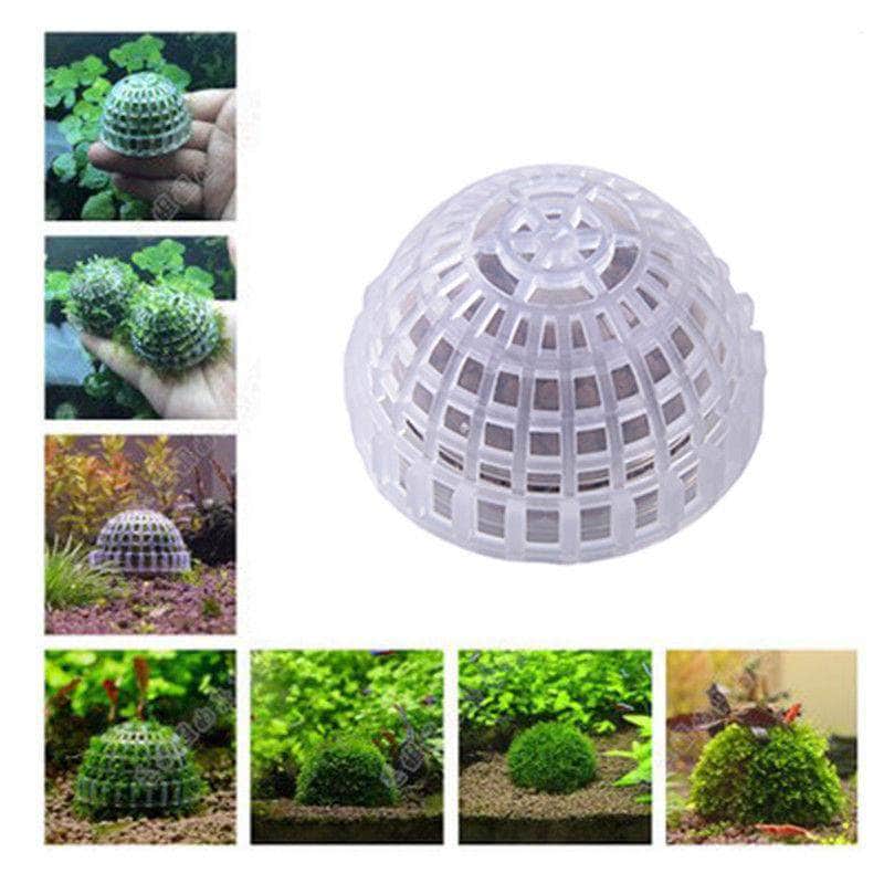 Boule pour mousse java et billes d'argile pour aquarium de crevettes-5-Petmonde
