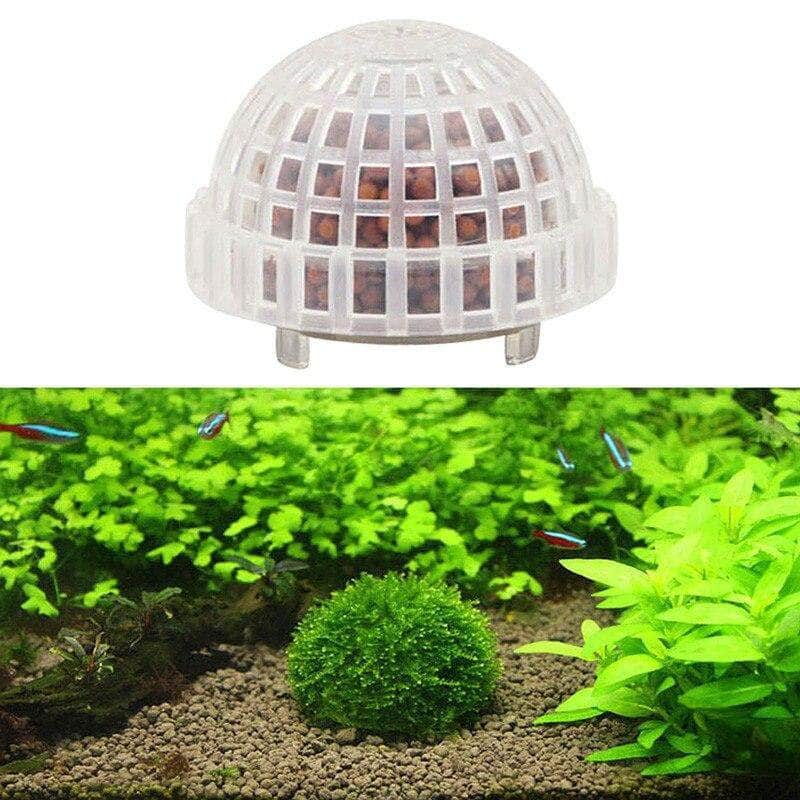 Boule pour mousse java et billes d'argile pour aquarium de crevettes-1-Petmonde