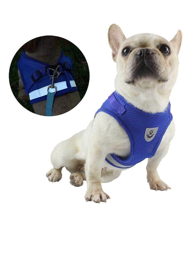 Ensemble harnais réfléchissant et laisse pour chien gilet respirant en nylon-2-Petmonde