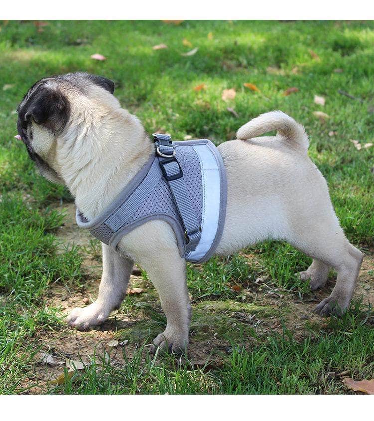Ensemble harnais réfléchissant et laisse pour chien gilet respirant en nylon-6-Petmonde