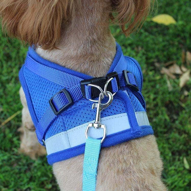Ensemble harnais réfléchissant et laisse pour chien gilet respirant en nylon-7-Petmonde