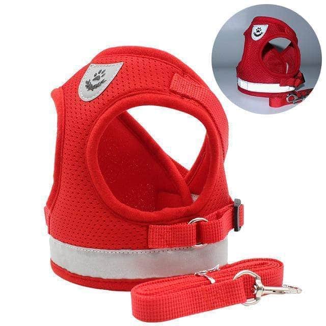Ensemble harnais réfléchissant et laisse pour chien gilet respirant en nylon-4-Petmonde
