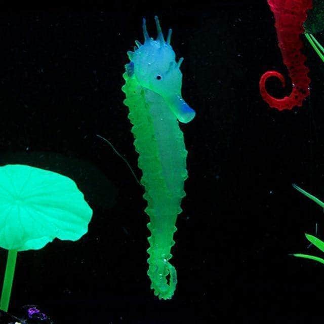 Hippocampe fluorescent lumineux en silicone décoration d'aquarium-2-Petmonde