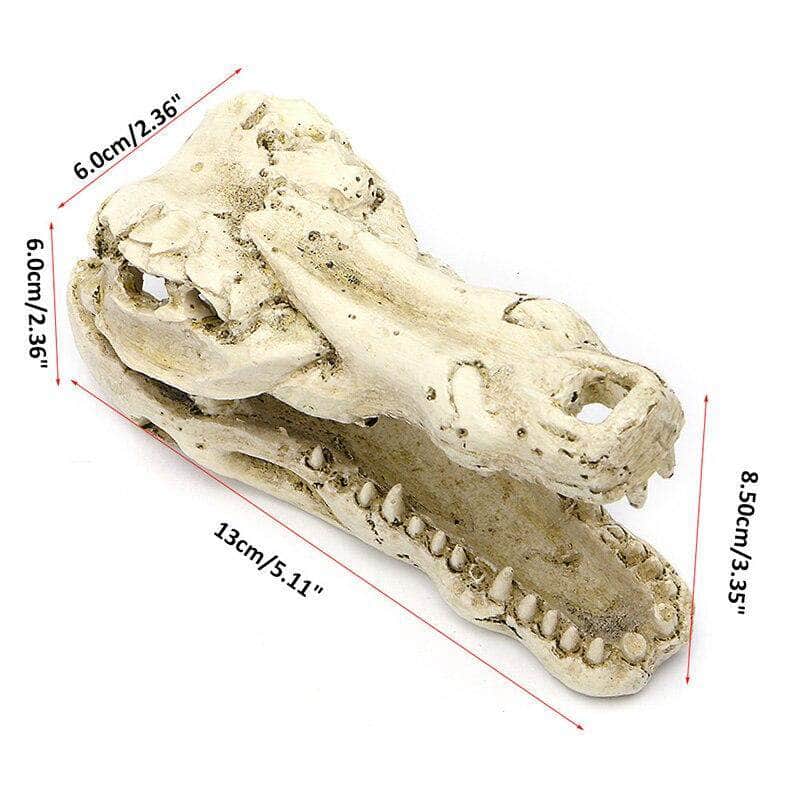 Ornement tête de crocodile crâne en résine décoration pour aquarium-3-Petmonde