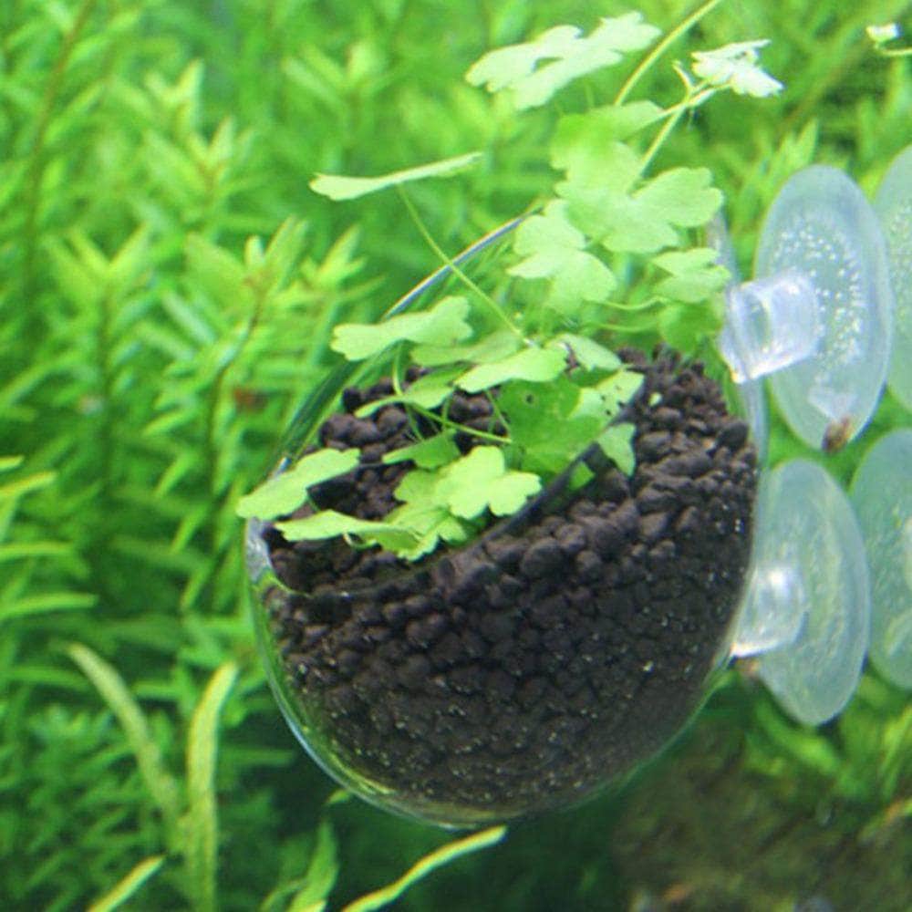 Pot en verre pour plantation décorative en suspension accessoire d'aquarium aquascaping-2-Petmonde