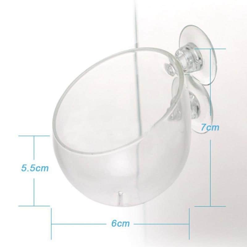 Pot en verre pour plantation décorative en suspension accessoire d'aquarium aquascaping-3-Petmonde