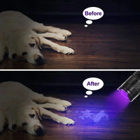 Petmonde-Mini Torche Ultraviolette Portable à LED UV, Étanche, Zoomable - Idéale pour la Détection des Punaises de Lit et la Détection d'Urine d'Animaux--Petmonde