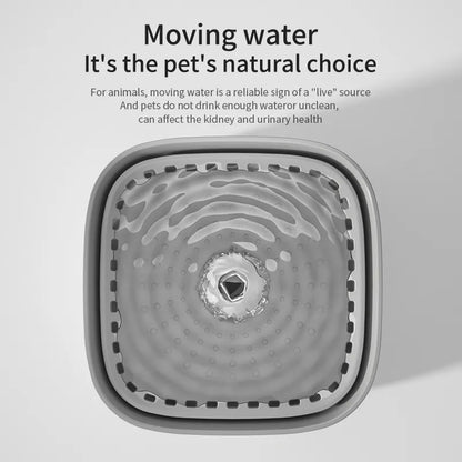 Fontaine à Eau Électrique pour Chat - 3 Litres, Filtre Intégré, Fonction de Recirculation Automatique et Distributeur Silencieux-5-Petmonde