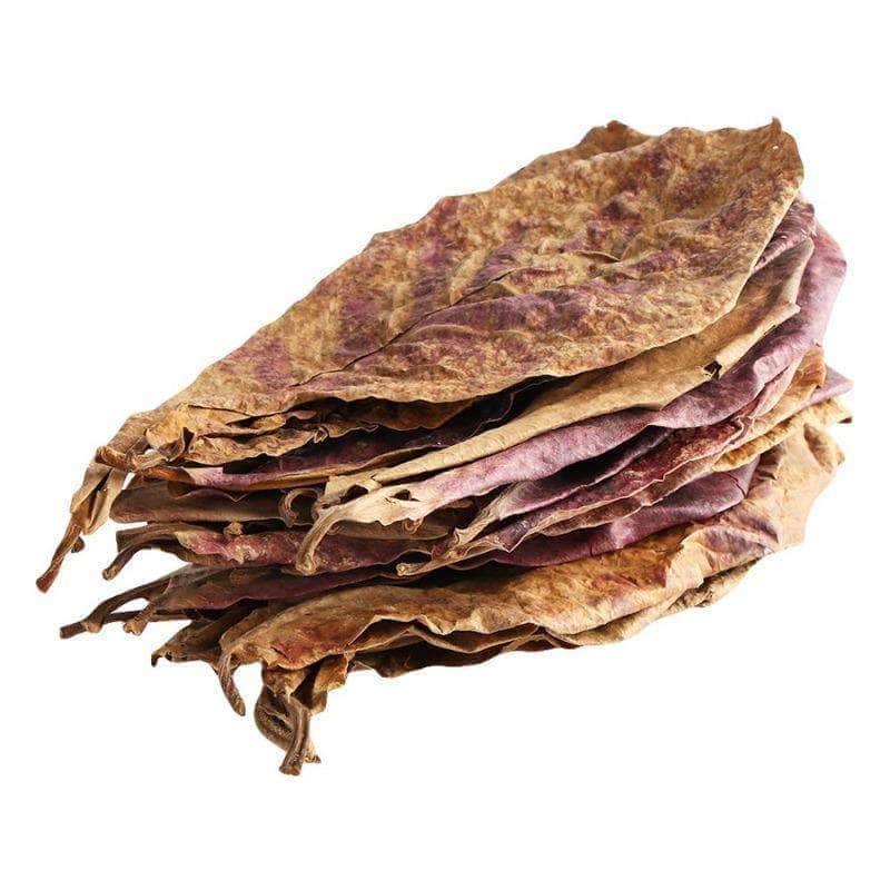 10 feuilles de badamier Terminalia Catappa bactéricide naturel amélioration et maintien de la qualité et du pH de l'eau aquarium-2-Petmonde
