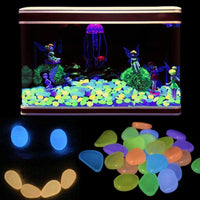 Petmonde-100 pièces cristaux lumineux décoration pour aquarium-Decoration--Petmonde