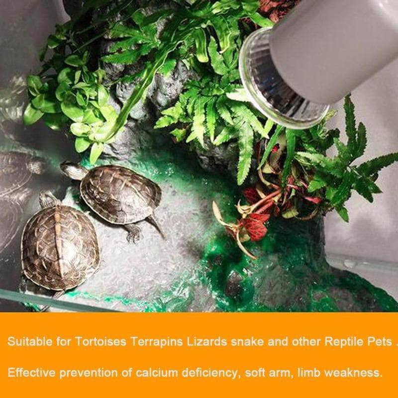 Ampoule Chauffante UVA UVB 3.0 – Lampe de Simulation Solaire pour Reptiles & Tortues-5-Petmonde