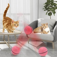 Petmonde-Ballon sauteur jouet interactif pour chat chaton mouvement aléatoire-chat--Petmonde
