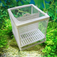 Petmonde-Boîte d'élevage pour petits poissons incubateur pour alevins accessoire d'aquarium-Accessoires--Petmonde