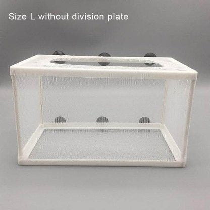 Boîte d'élevage pour petits poissons incubateur pour alevins accessoire d'aquarium-3-Petmonde