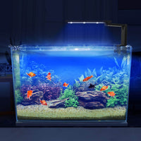 Petmonde-Éclairage d'aquarium rampe LED clipsable à intensité réglable et contrôle tactile-éclairage--Petmonde