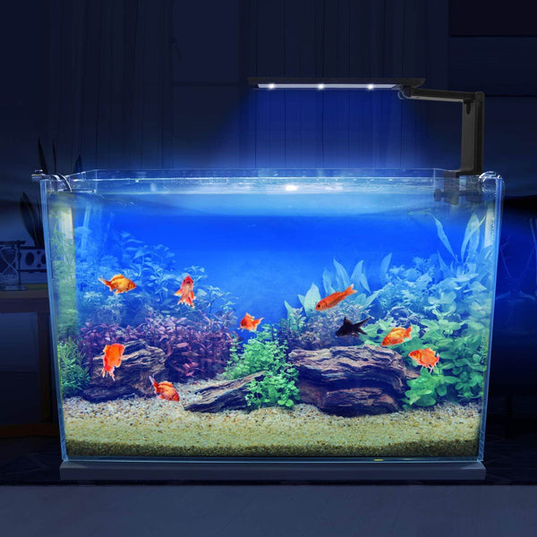 Rampe LED - Eclairage aquarium - Petits Compagnons