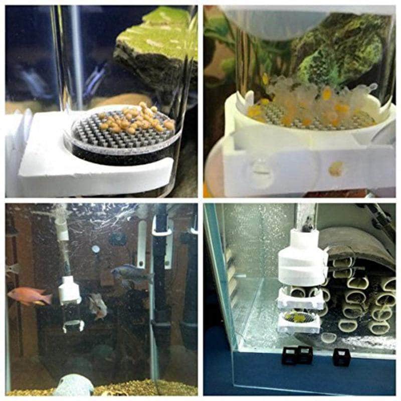Écloserie pour oeufs de poissons kit d'élevage accessoire de pisciculture incubateur pour aquarium-5-Petmonde