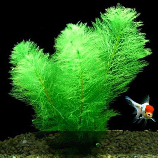 Grande plante artificielle mousse verte fausse plante décoration pour aquarium-1-Petmonde