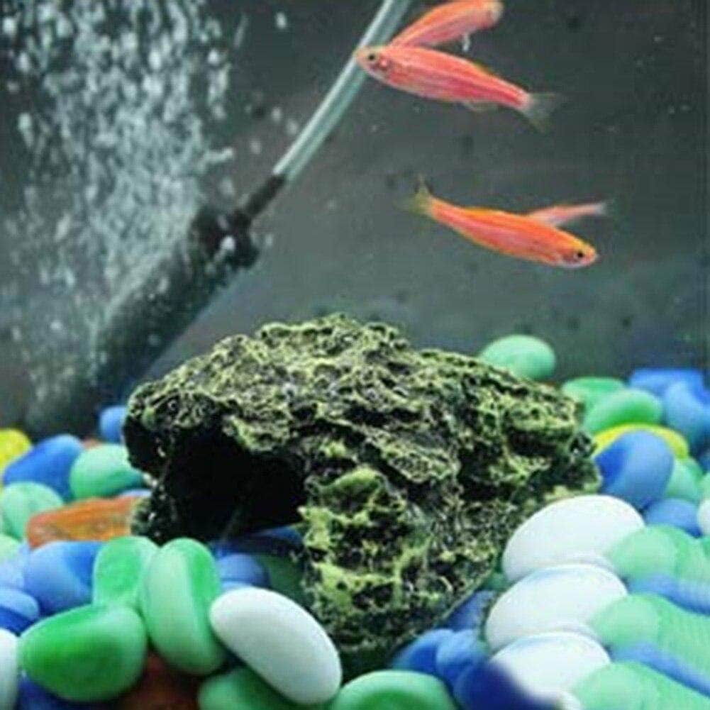 Grotte en Résine pour Tortue & Reptile – Abri & Cachette Naturelle-6-Petmonde