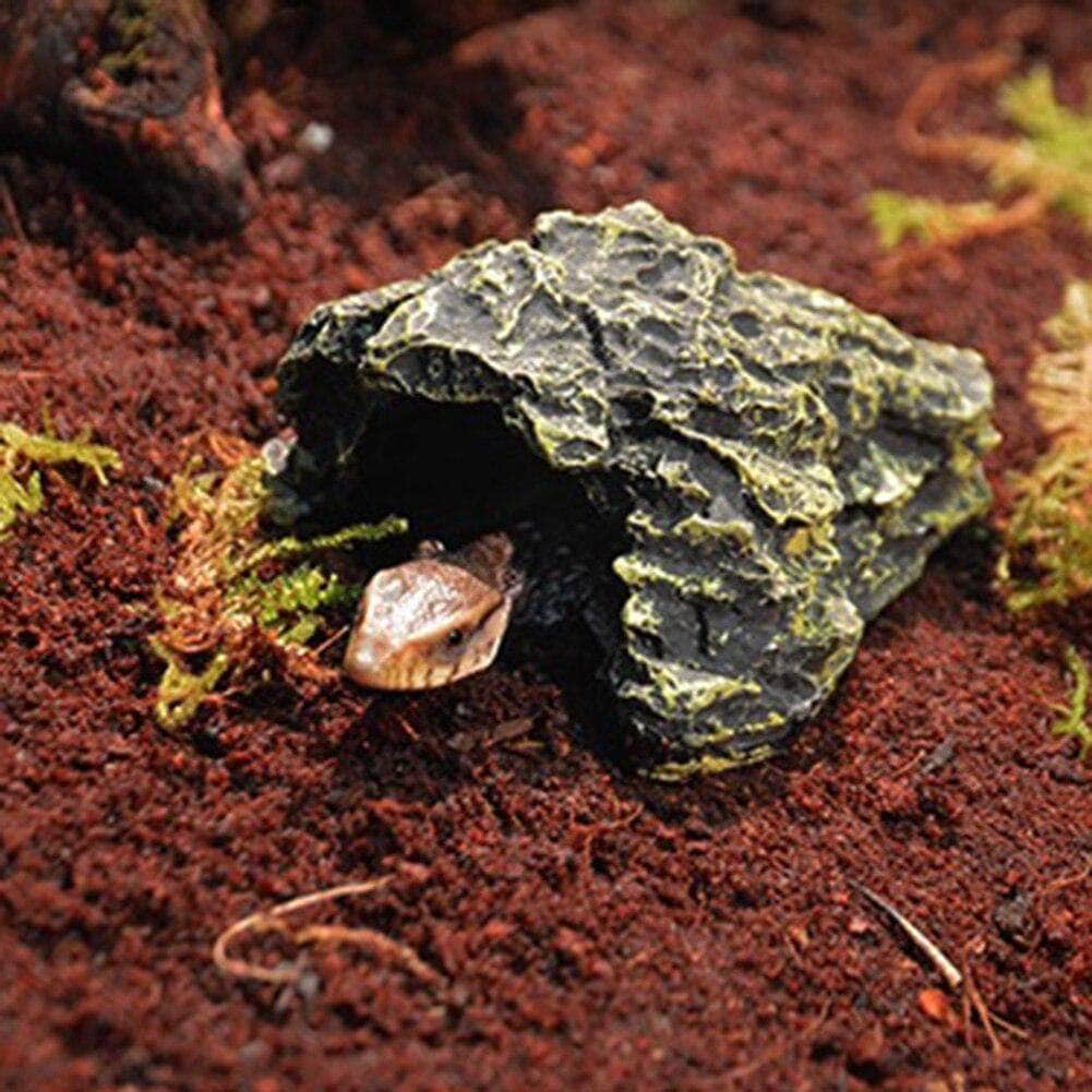 Grotte en Résine pour Tortue & Reptile – Abri & Cachette Naturelle-7-Petmonde