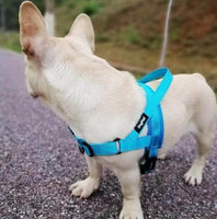 Petmonde-Harnais réfléchissant réglable pour chien gilet durable en nylon de voiture-chien-Bleu-S-Petmonde