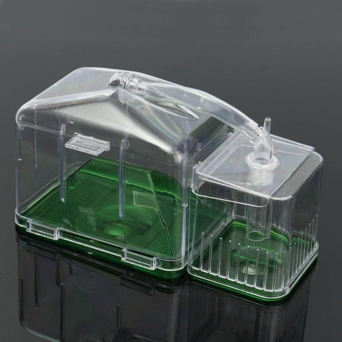 Incubateur boîte de pisciculture à circulation automatique et à double compartiments pour élevage de poissons-3-Petmonde