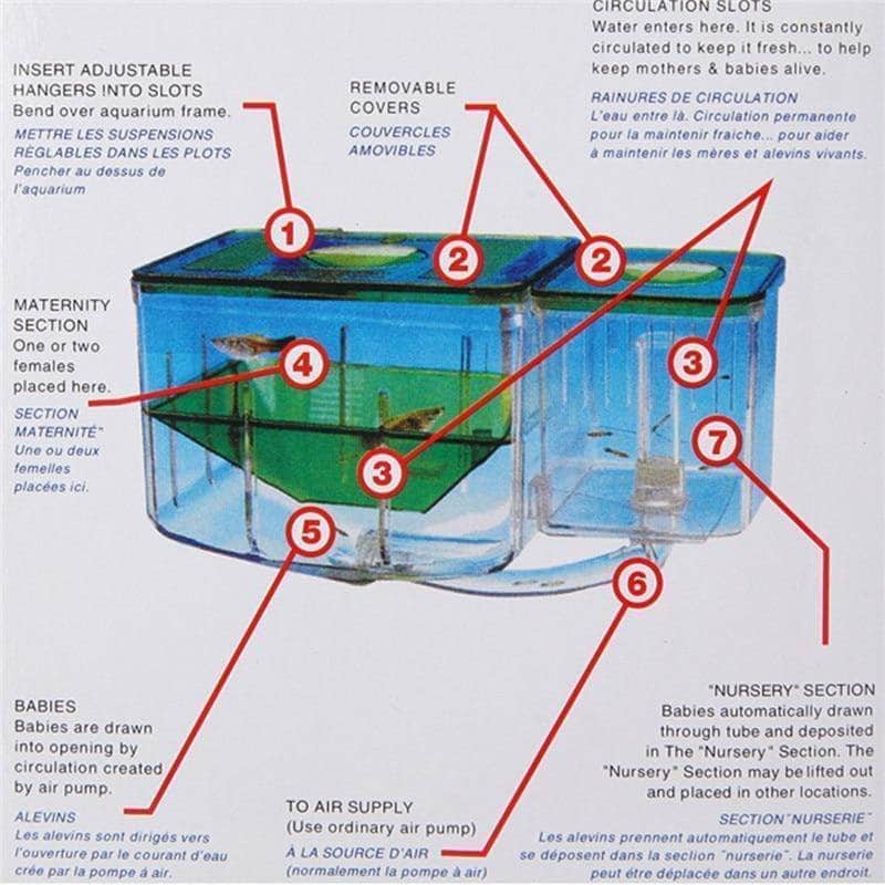 Incubateur boîte de pisciculture à circulation automatique et à double compartiments pour élevage de poissons-6-Petmonde