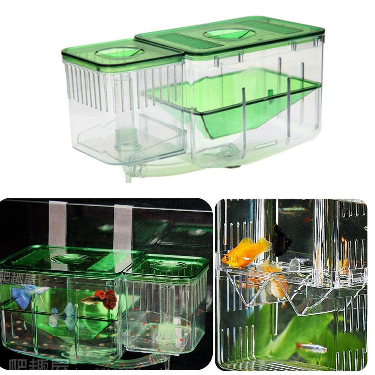 Incubateur boîte de pisciculture à circulation automatique et à double compartiments pour élevage de poissons-1-Petmonde