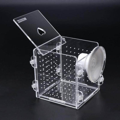 Incubateur boîte d'isolation pour alevins petits poissons élevage-2-Petmonde