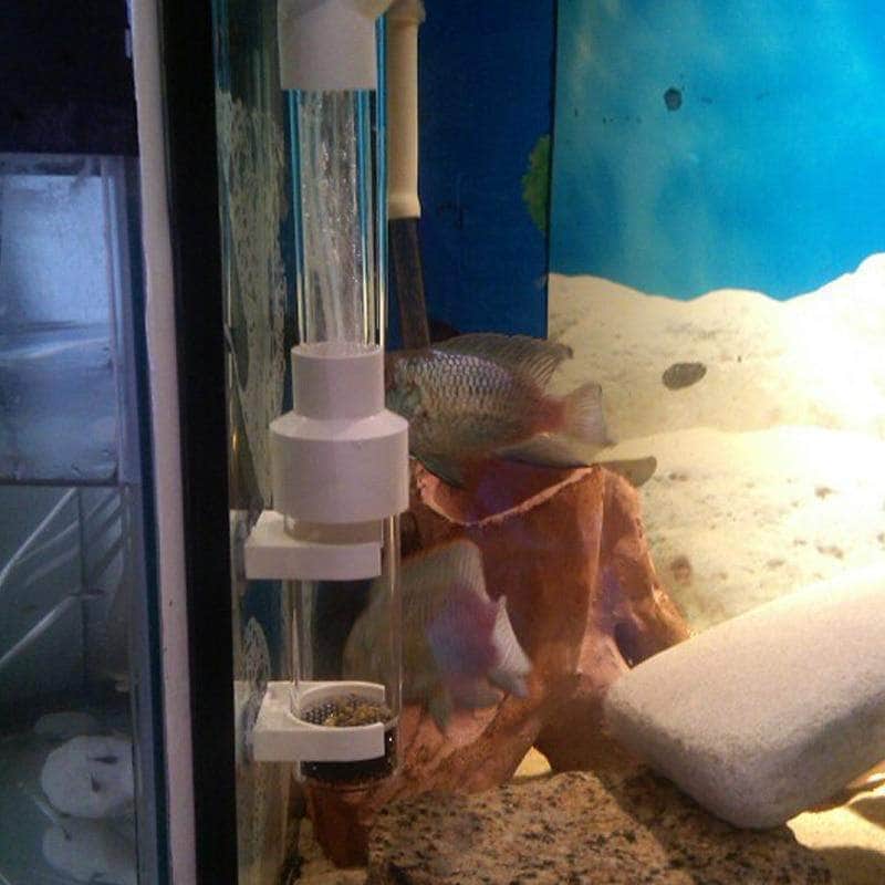 Incubateur de pisciculture gobelet à oeufs de poissons accessoire d'élevage cichlidés et ancistrus-3-Petmonde