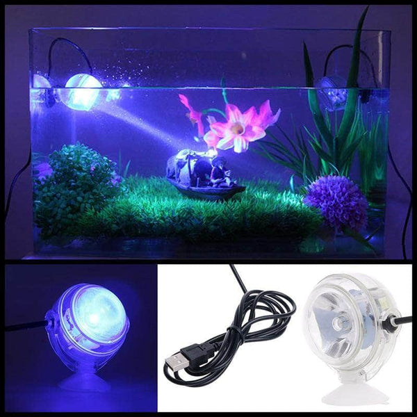 Lumière LED submersible étanche fixation à ventouse pour aquarium