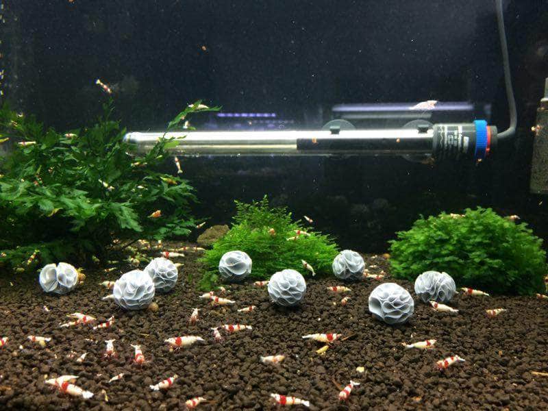 Maison de crevettes abri sphérique à cavités multiples pour éleveur de crevettes 10 pièces-3-Petmonde