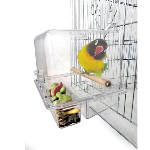 Mangeoire suspendu intérieur-extérieur pour oiseaux avec perche en boi –  Petmonde