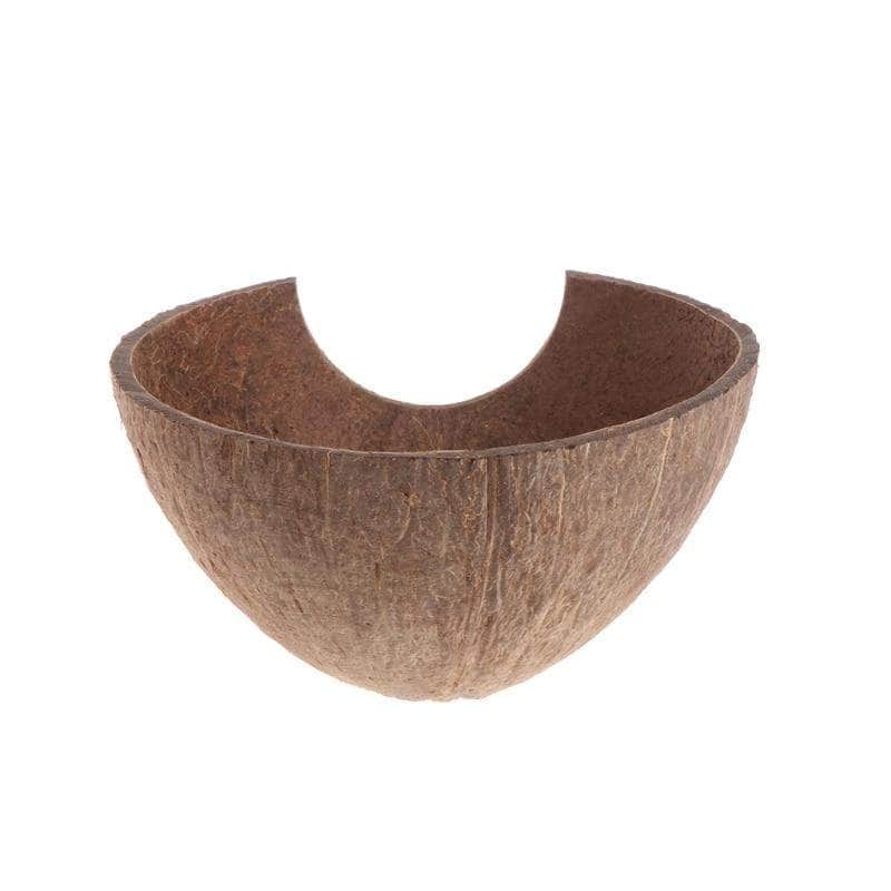 Noix de coco habitat pour petit reptile gecko poisson décoration terrarium aquarium-2-Petmonde