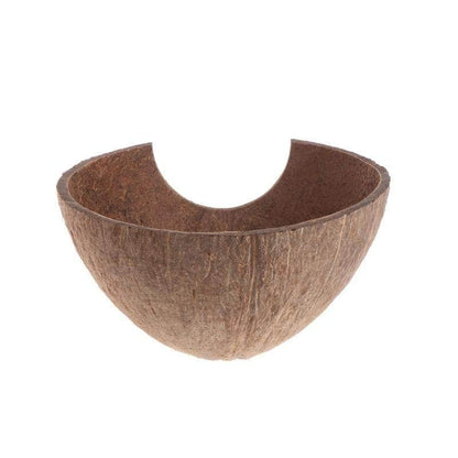 Noix de coco habitat pour petit reptile gecko poisson décoration terrarium aquarium-2-Petmonde