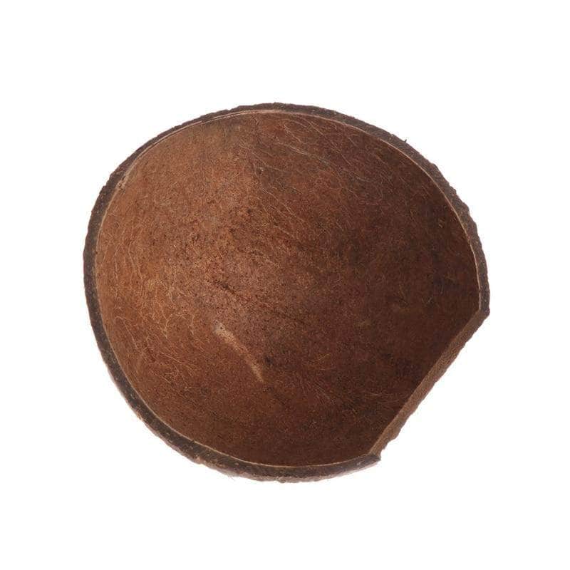 Noix de coco habitat pour petit reptile gecko poisson décoration terrarium aquarium-3-Petmonde