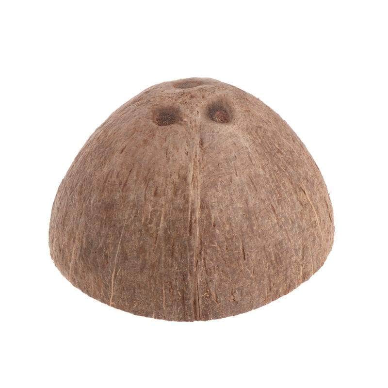 Noix de coco habitat pour petit reptile gecko poisson décoration terrarium aquarium-4-Petmonde