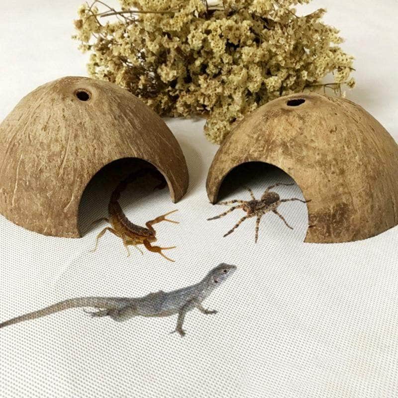 Noix de coco habitat pour petit reptile gecko poisson décoration terrarium aquarium-5-Petmonde