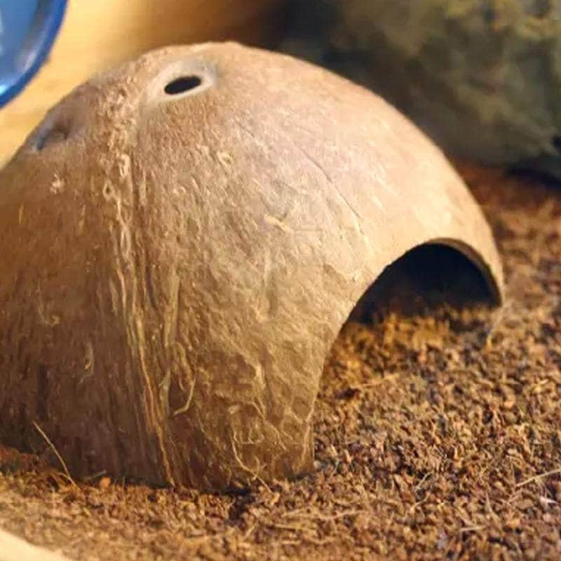 Noix de coco habitat pour petit reptile gecko poisson décoration terrarium aquarium-1-Petmonde