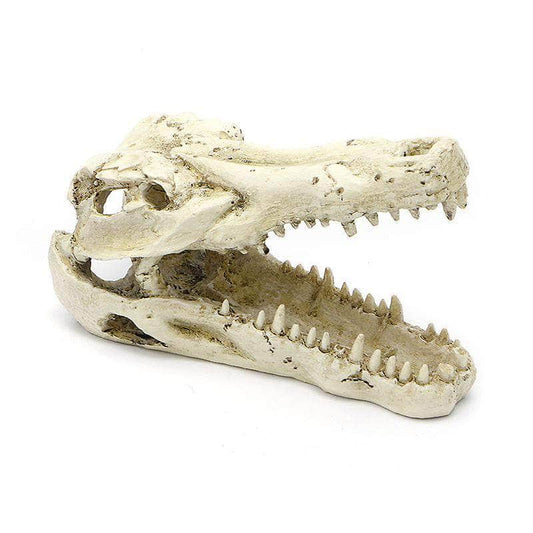 Ornement tête de crocodile crâne en résine décoration pour aquarium-1-Petmonde