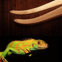 Petmonde-Pince d'alimentation reptile en bois-nourriture--Petmonde