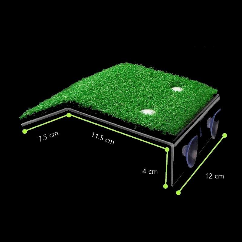 Plage pour Tortue d'Eau – Plateforme de Baignade et Repos-6-Petmonde