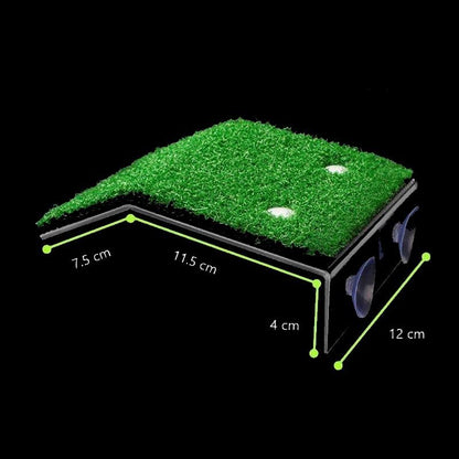 Plage pour Tortue d'Eau – Plateforme de Baignade et Repos-6-Petmonde