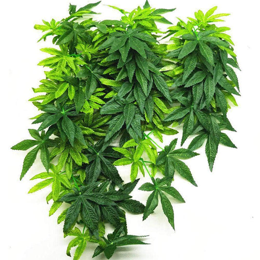 Plante suspendue avec ventouse grande taille décoration pour aquarium terrarium vivarium simulation milieu naturel-1-Petmonde