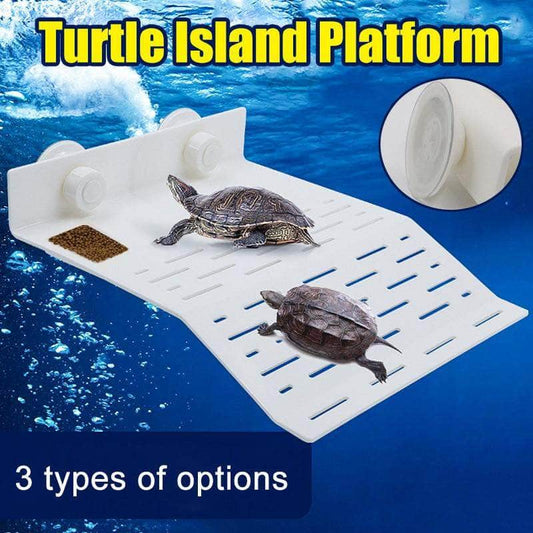 Plateforme pour tortue aquatique plage tortue avec mangeoire-1-Petmonde