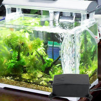 Petmonde-Pompe à air pour aquarium bulleur silencieux pour poissons crevettes-Filtration et pompes--Petmonde