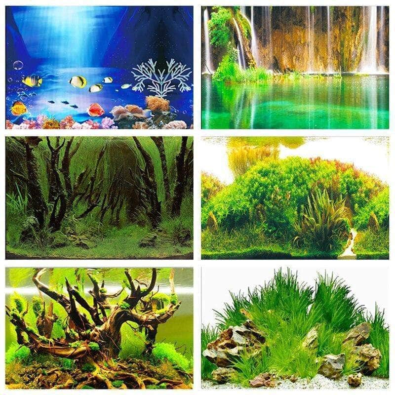 Poster en PVC mur de fond d'aquarium arrière-plan double face décoration d'aquarium-1-Petmonde